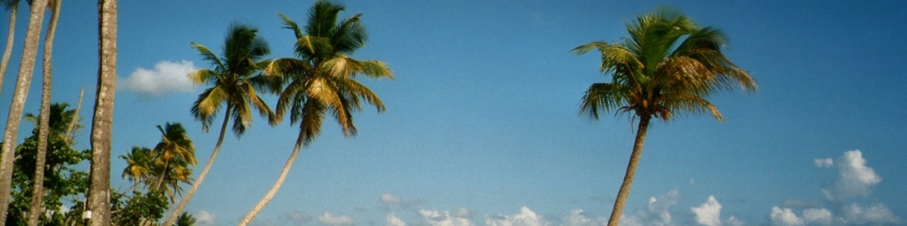 Отзывы о турагентстве ЮГ. Молодечно, Минск, Вилейка, Мядель, Сморгонь, Островец, Воложин