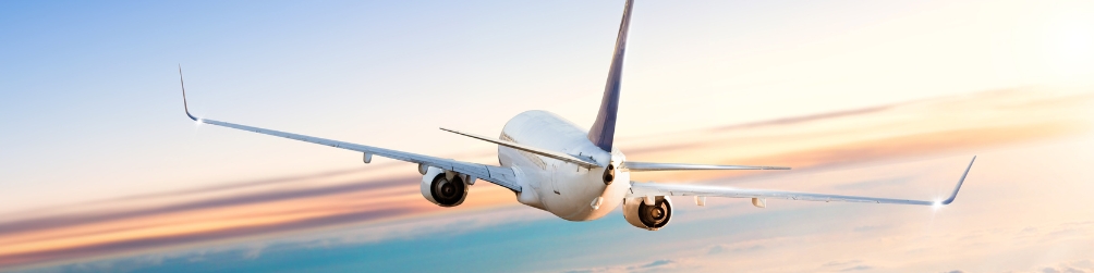 Трансфер в аэропорт из Минска, Молодечно