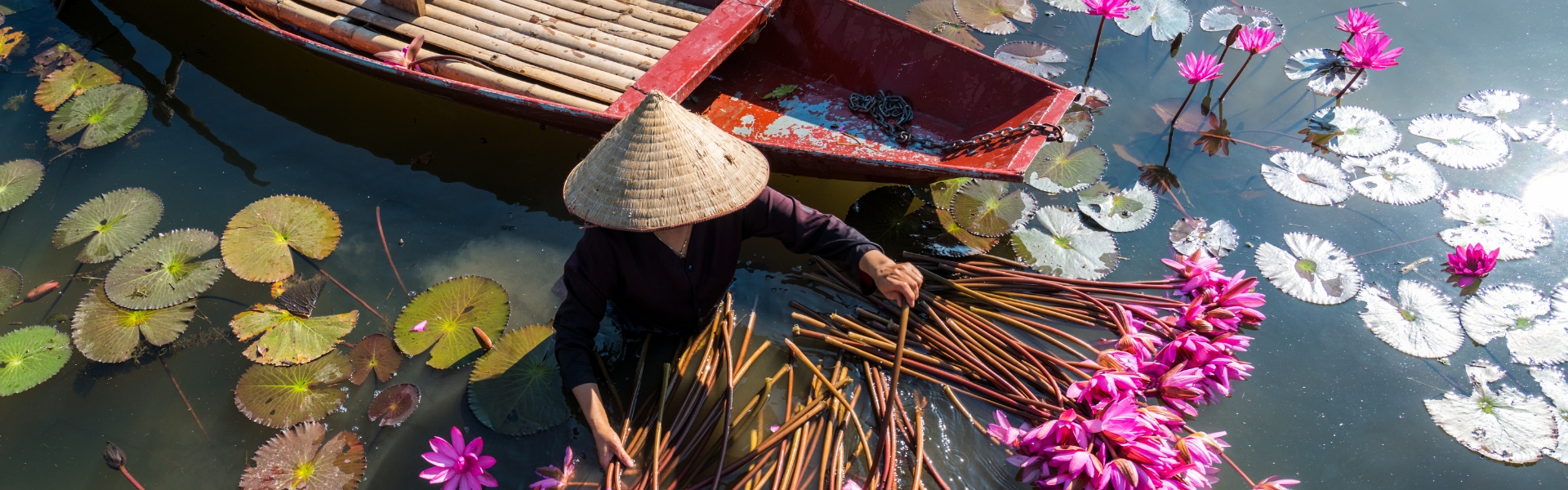 Отдых во Вьетнаме. Лучшие цены на туры, подбор туров, все курорты
